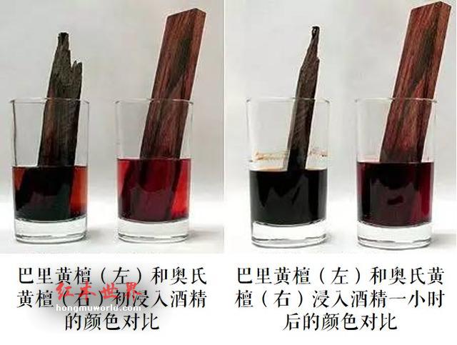 干货｜鉴别红酸枝-3