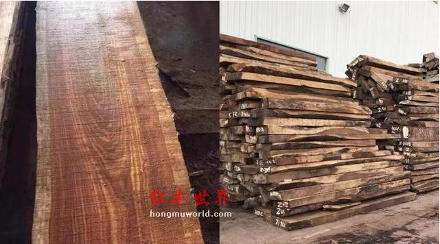 防火防盗防“高棉”！鱼目混珠的高棉花梨木-2