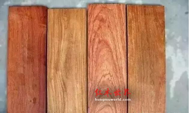 红木百科：大果紫檀（缅甸花梨）-6