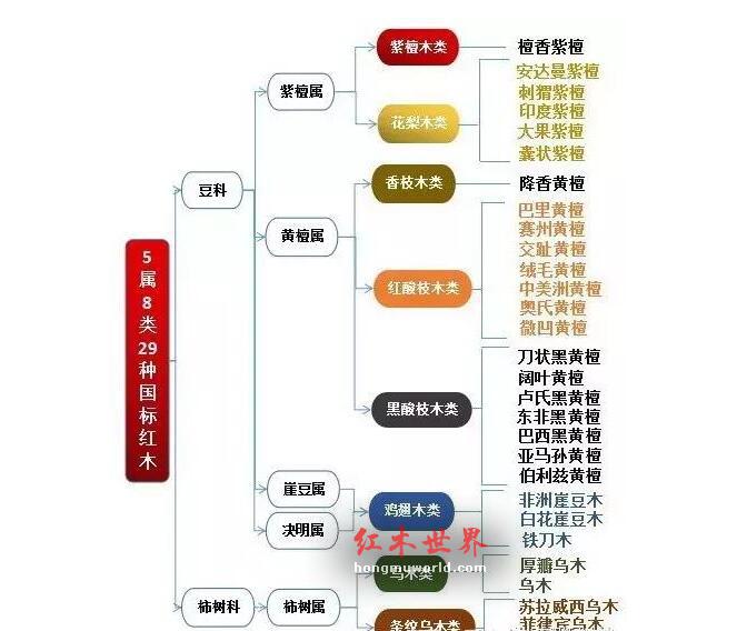 红木百科：大果紫檀（缅甸花梨）-8