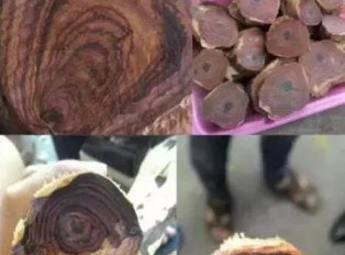 绝了，海黄对眼原来是这样制作出来的！