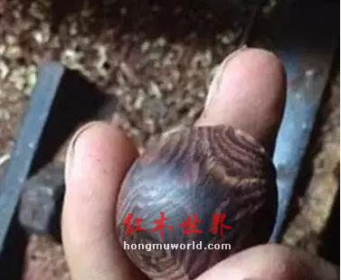 绝了，海黄对眼原来是这样制作出来的！-7