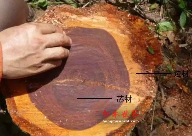 无色差绝对不是真红木-3