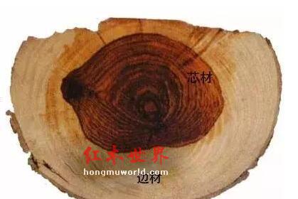 无色差绝对不是真红木-4