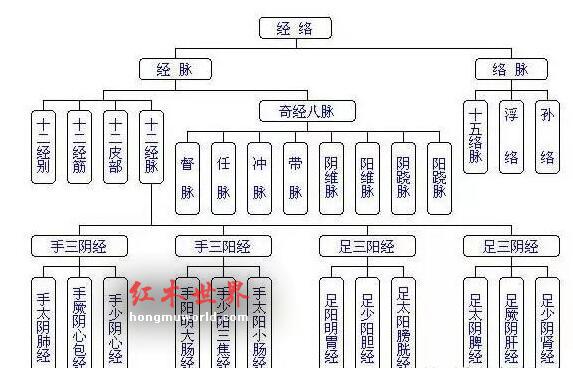 明式圈椅的“中华经络养生功效”-6