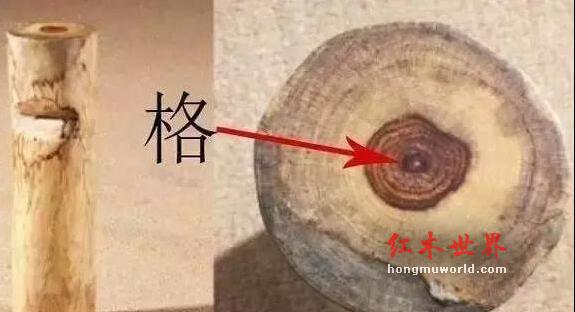 干货:海南黄花梨百科大辞典！-1