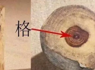 干货:海南黄花梨百科大辞典！