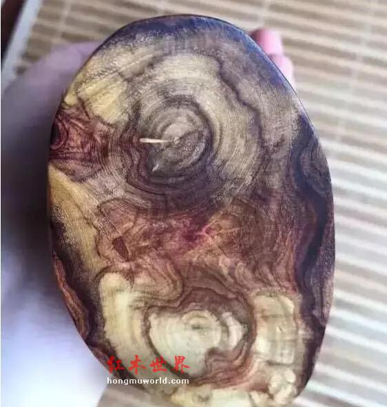 干货:海南黄花梨百科大辞典！-8
