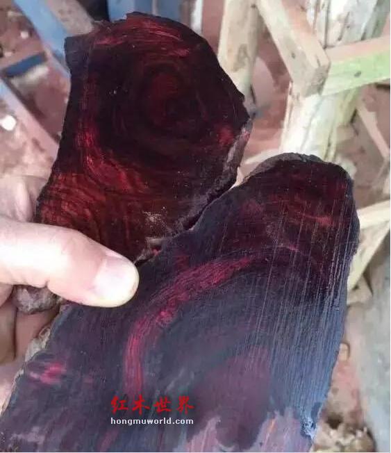 干货:海南黄花梨百科大辞典！-9