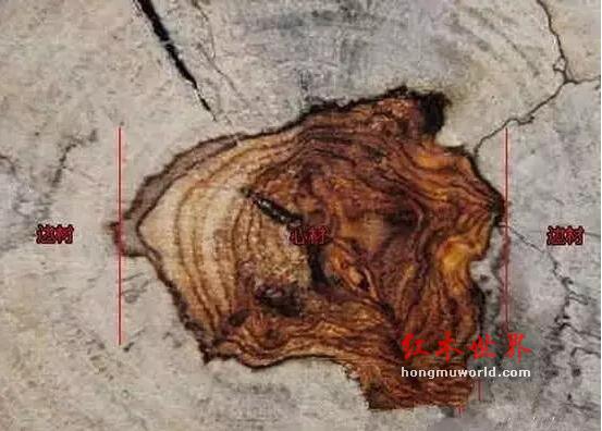 新老玩家对于海南黄花梨的理解-5