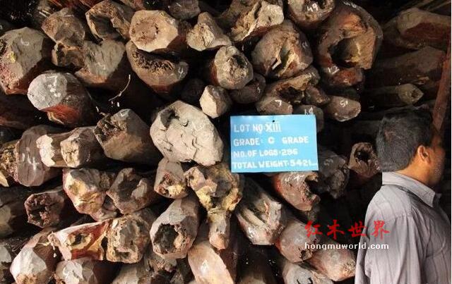 十檀九空、百年寸檀——其实大多数人都还不知道真相！-5