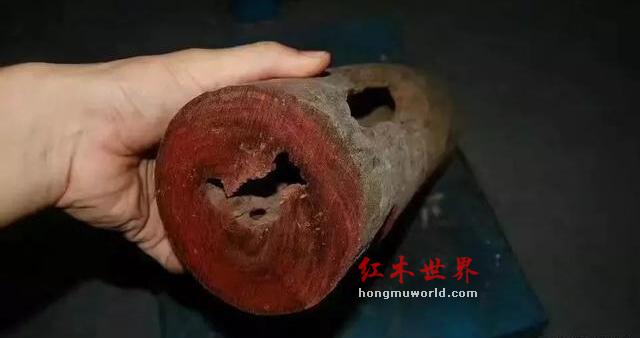 十檀九空、百年寸檀——其实大多数人都还不知道真相！-9