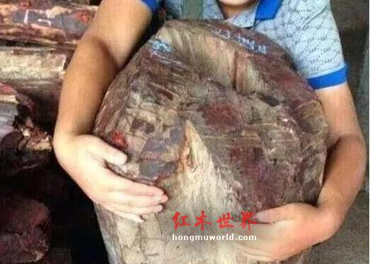 十檀九空、百年寸檀——其实大多数人都还不知道真相！-10
