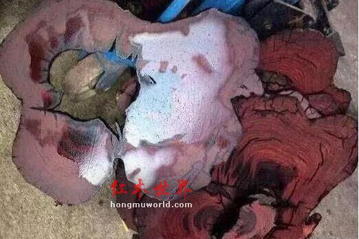 十檀九空、百年寸檀——其实大多数人都还不知道真相！-12