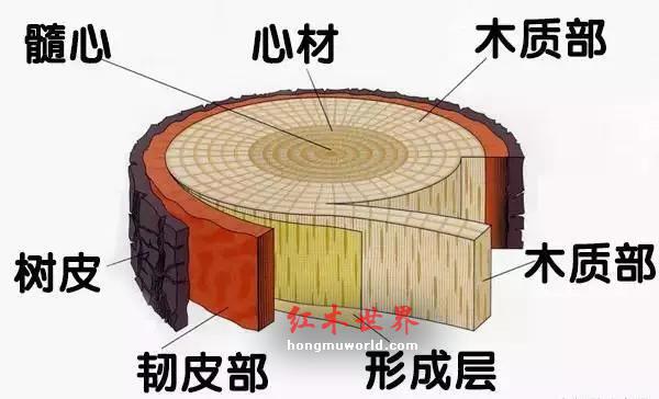 十檀九空、百年寸檀——其实大多数人都还不知道真相！-16
