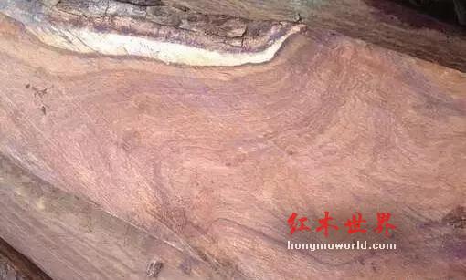 红木市场常见替代用材俗称、学名对照-1