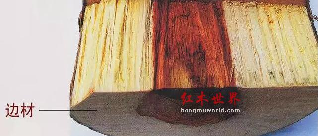 教您如何辨别红木家具“掺杂白皮”-2