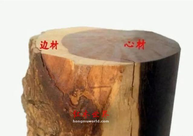 教您如何辨别红木家具“掺杂白皮”-4