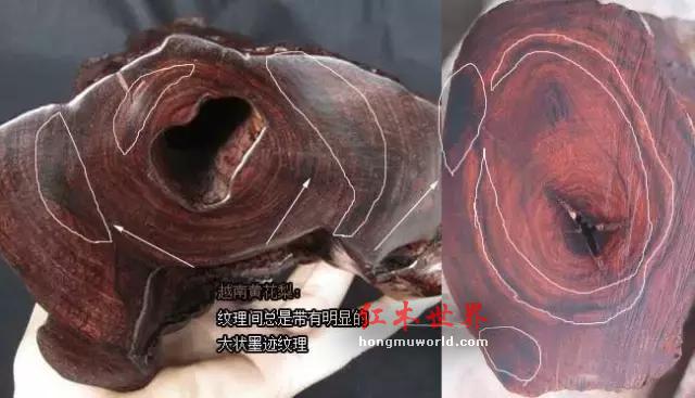 如何判断越南黄花梨“北方料”？-5