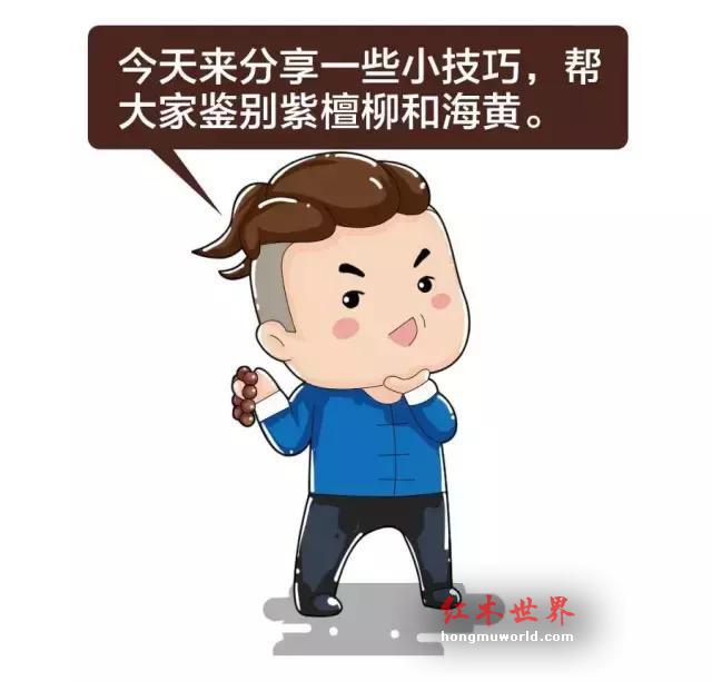 如何鉴别“紫檀柳”vs“海南黄花梨”？-1