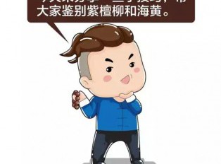 如何鉴别“紫檀柳”vs“海南黄花梨”？