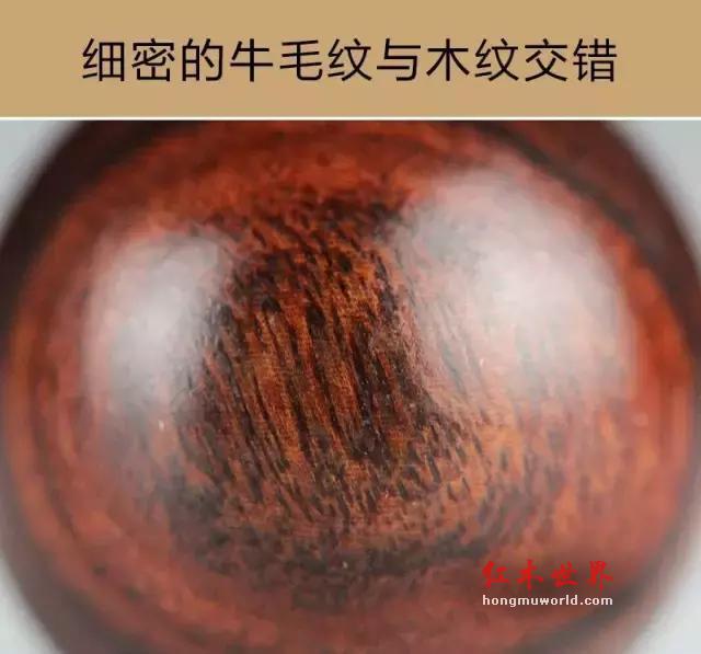 如何鉴别“紫檀柳”vs“海南黄花梨”？-10