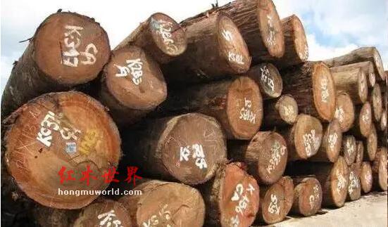 红木原材最新价格与行情走势周评（9月10-9月17）-2