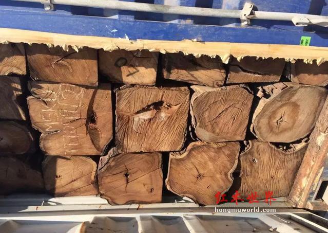 红木原材最新价格与行情走势周评（9月10-9月17）-3