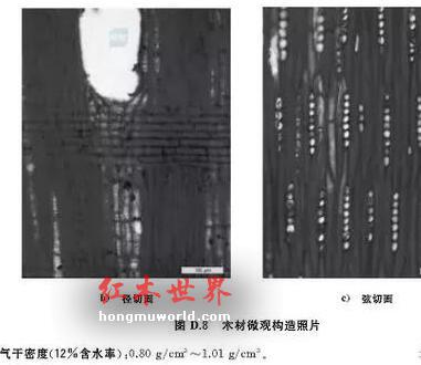 红木百科：大果紫檀（缅甸花梨）-3