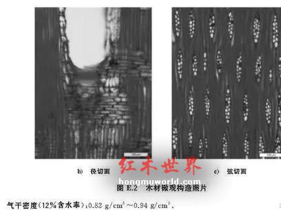红木百科：大果紫檀（缅甸花梨）-4