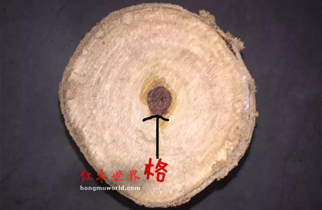 海黄的各种术语“格”，你们都了解吗？-1