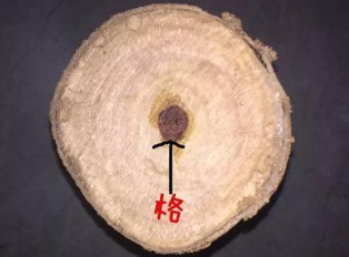 海黄的各种术语“格”，你们都了解吗？