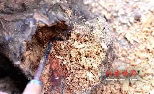 海黄的各种术语“格”，你们都了解吗？-2