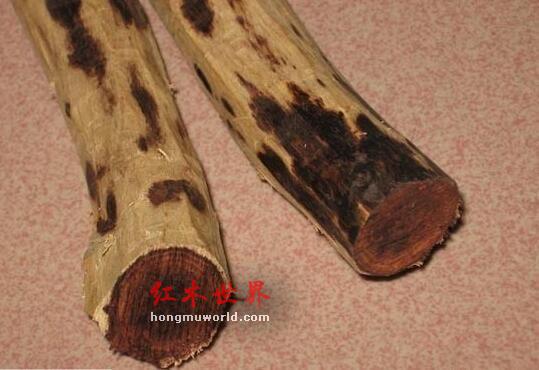 海黄的各种术语“格”，你们都了解吗？-6