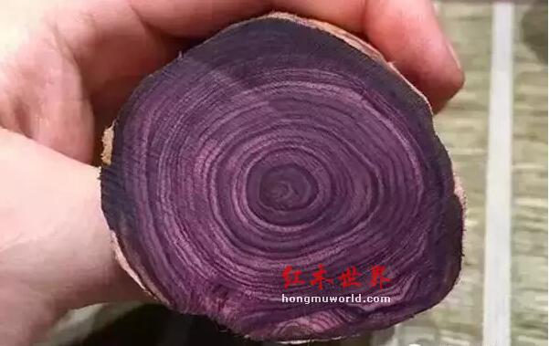 海黄的各种术语“格”，你们都了解吗？-7
