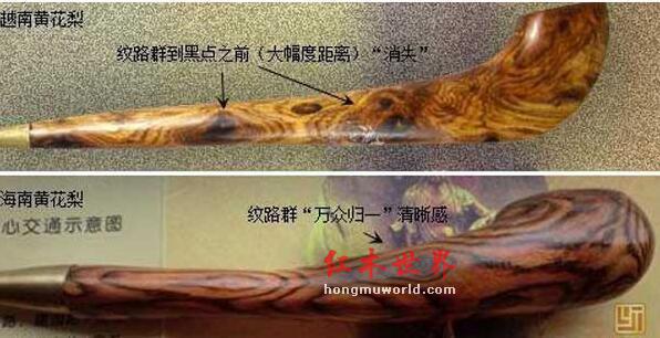 干货！多角度详解海黄真假鉴别-4