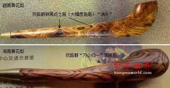 全面解析“黄花梨”-5