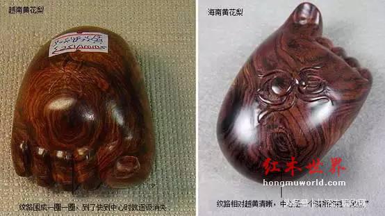 全面解析“黄花梨”-7