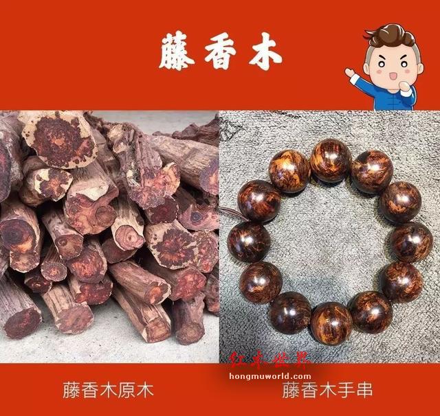 4大招，教你辨别海黄与藤香木！-2