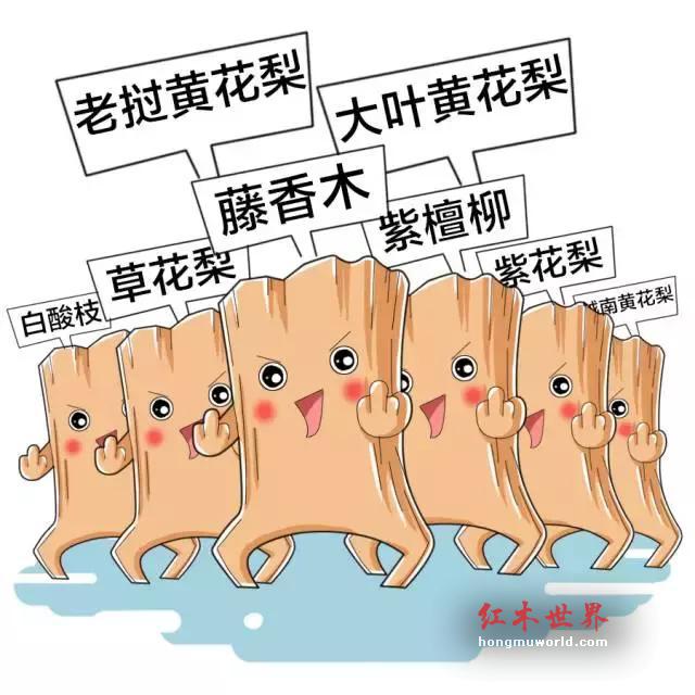 4大招，教你辨别海黄与藤香木！-1