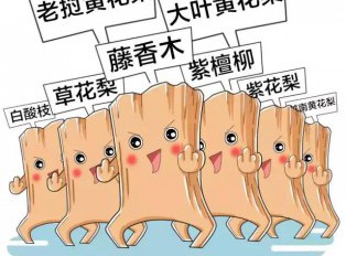 4大招，教你辨别海黄与藤香木！