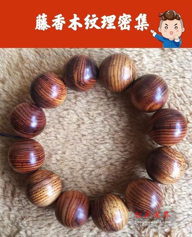 4大招，教你辨别海黄与藤香木！-12