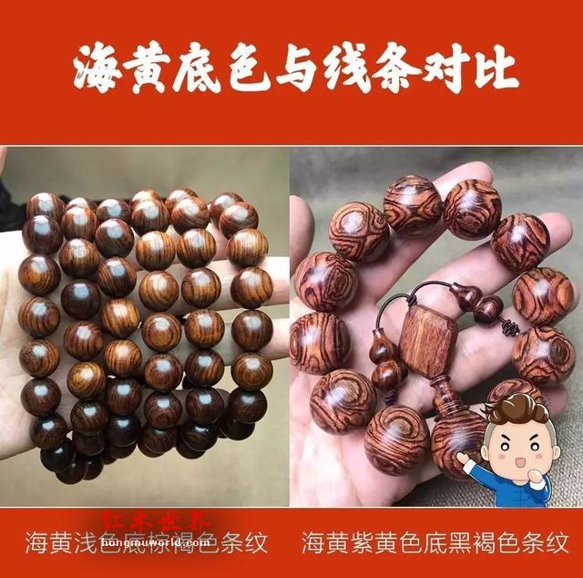 4大招，教你辨别海黄与藤香木！-10