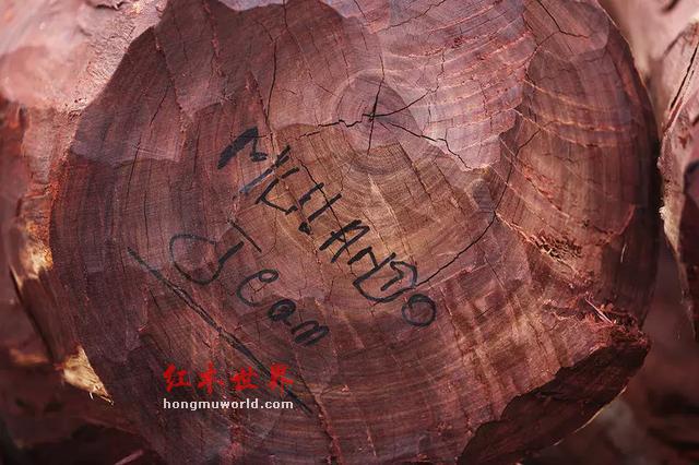 “滴血”的红木原材料与“隐形”的中国商人-12