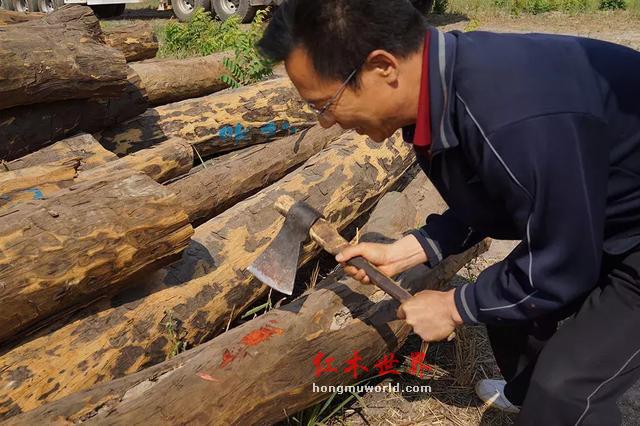 “滴血”的红木原材料与“隐形”的中国商人-17