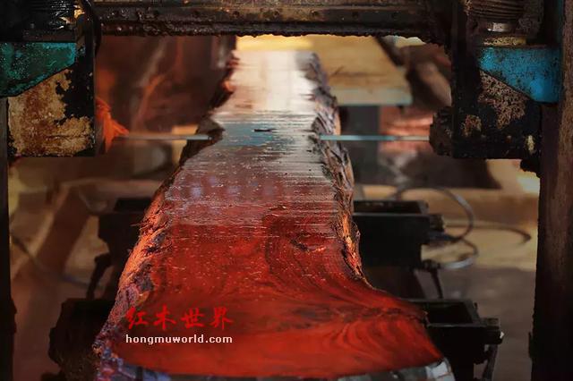 “滴血”的红木原材料与“隐形”的中国商人-23