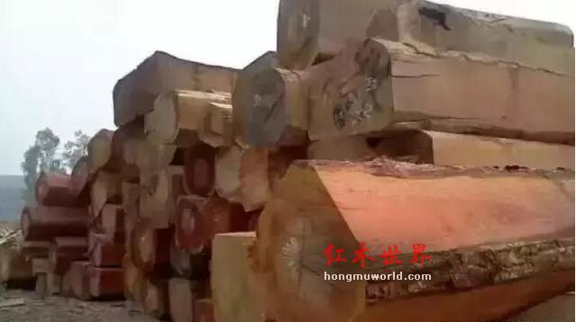 鉴别缅甸花梨与非洲花梨五大招，再也不怕商家忽悠-2