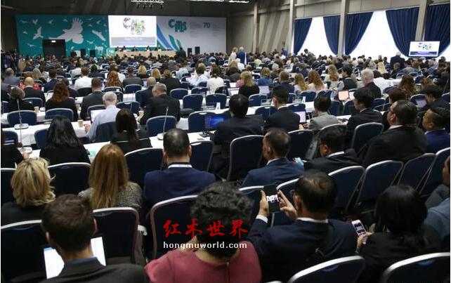 交趾黄檀国际贸易被叫停！大红酸枝或迎暴涨……-1