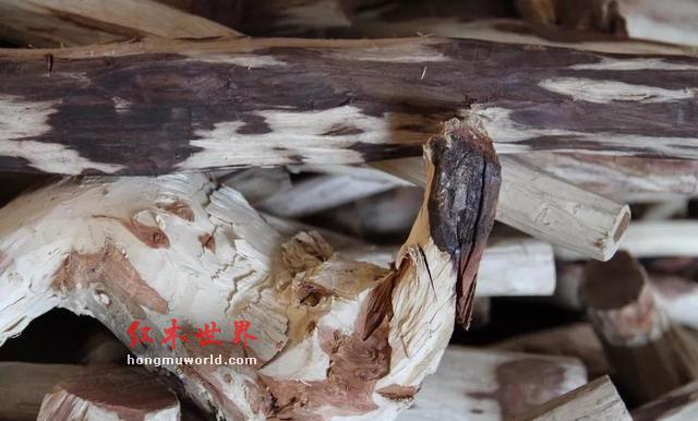 解析：《黄花黎》的特质-6