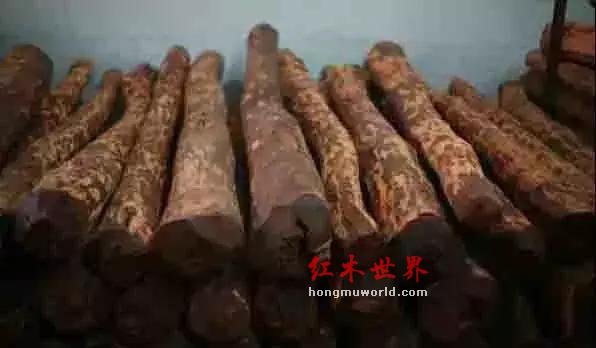 一黄二紫三红，图解三大贡木-11